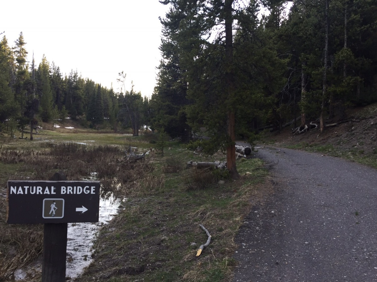 Sunday Hikes: Natural Bridge Trail (Yellowstone) 